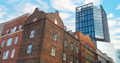 Minister Browne calls for more city apartment construction